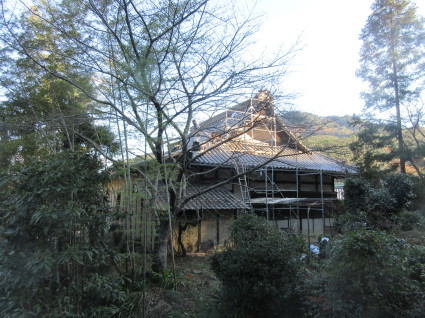 f0053885_19061030.jpg