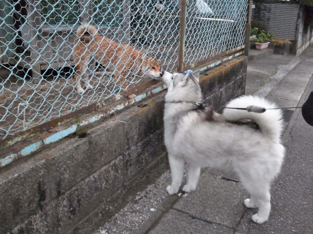 冬のガールズ連合♪ (*^_^*)_c0049299_22414127.jpg