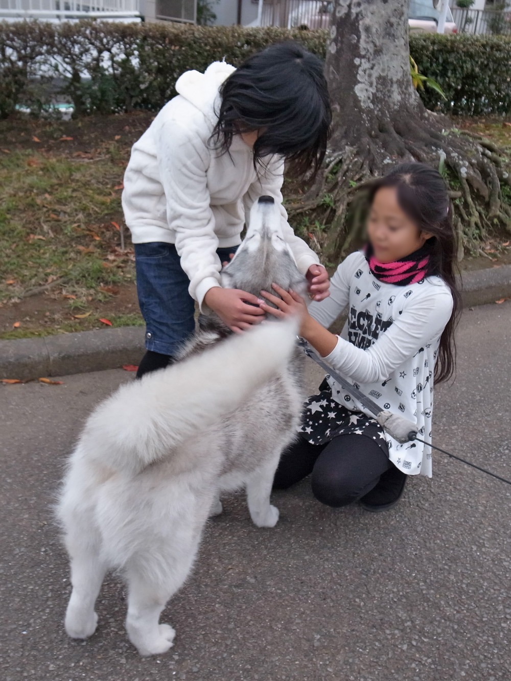 冬のガールズ連合♪　(*^_^*)_c0049299_22545120.jpg