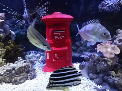 c0125501_022656.jpg