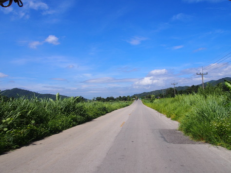 a0080406_1255953.jpg