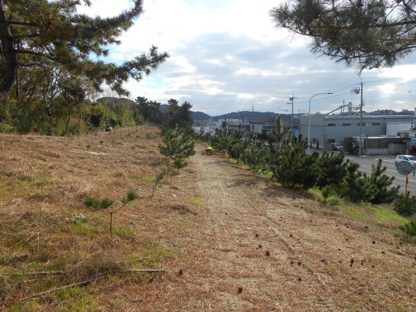 水軒の浜に松を植える会　定例清掃日_c0367107_17332467.jpg