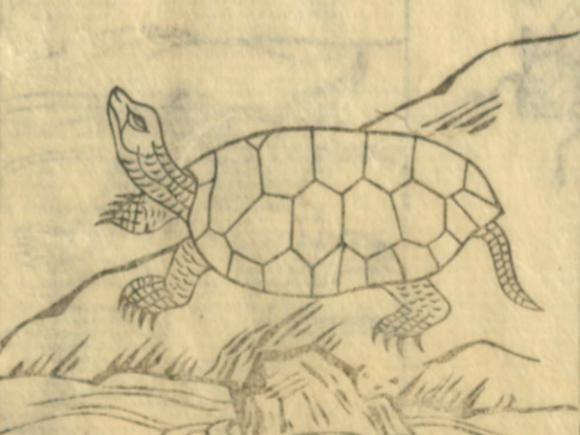 昔の資料が自由に使用できるように公開されることの面白さ_c0025115_22582759.png