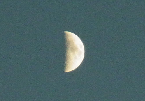 a0214919_09262130.jpg
