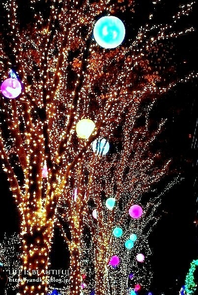 Christmas Illumination☆2015 - *** life is beautiful ***