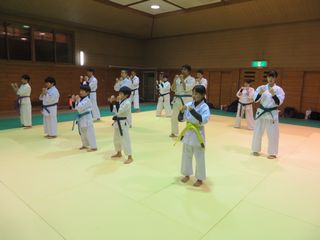土曜日空手 今年の稽古納めはまだまだ続きます!_c0118332_23243265.jpg