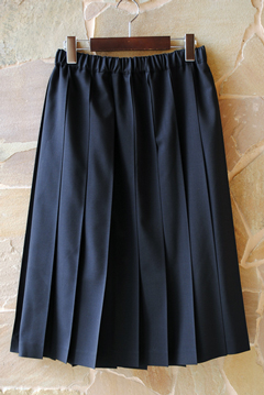 Charpentier de Vaisseau Pleated Skirts_c0215933_13554355.jpg