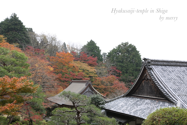 湖東三山 〜百済寺〜_a0207736_0111712.jpg