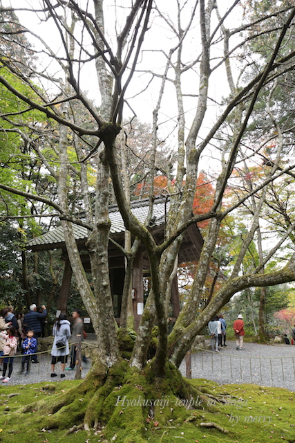 湖東三山 〜百済寺〜_a0207736_0122757.jpg