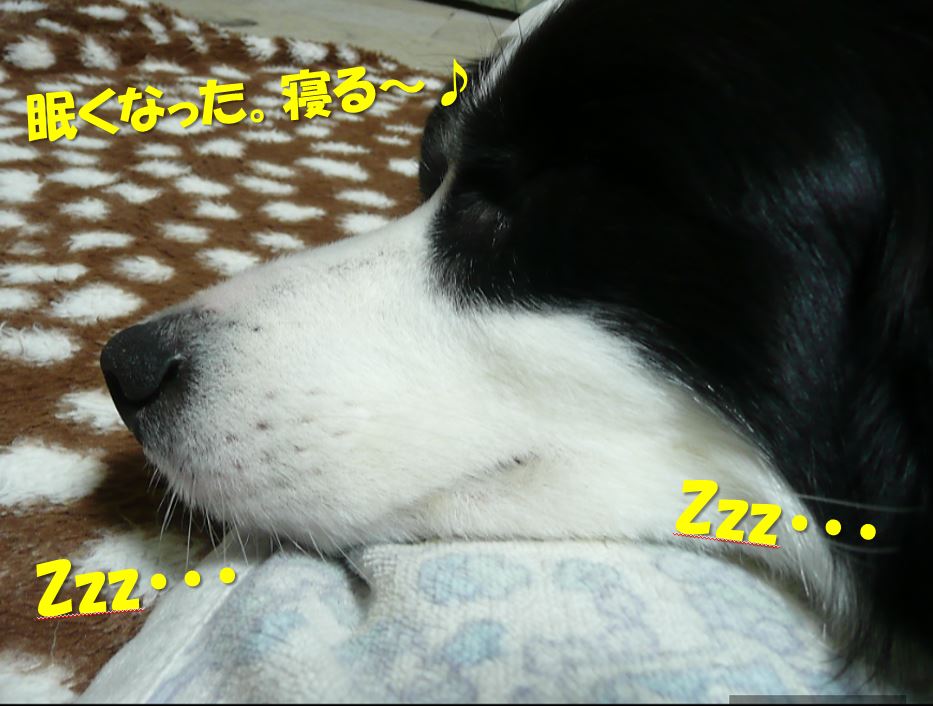 c0147241_1755913.jpg