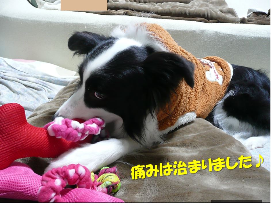 c0147241_2281281.jpg