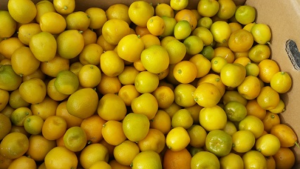 e0319042_10151686.jpg