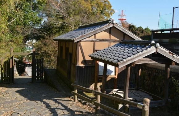 a0201743_19325138.jpg