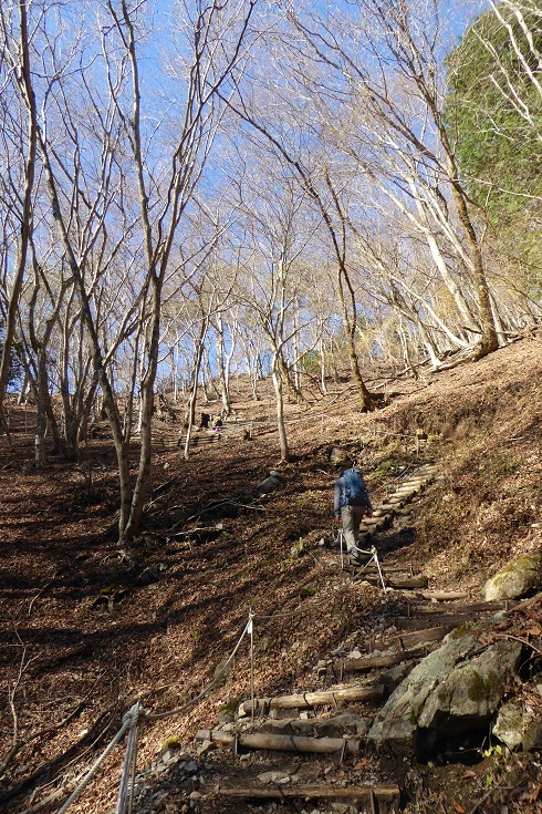 12/18　鍋割山（丹沢）・思いがけなく初雪を踏む_d0288144_11150992.jpg