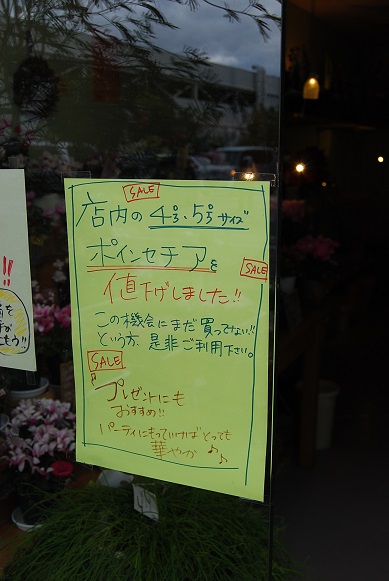 a0201358_1417269.jpg