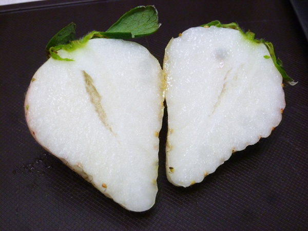 白いちご_c0152767_22254826.jpg