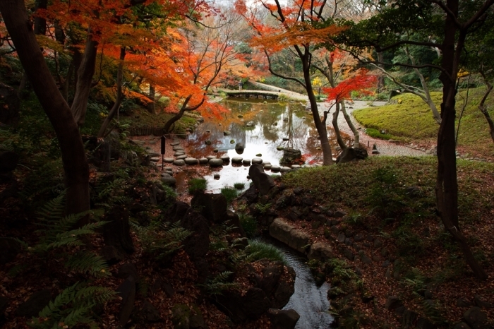 最後の紅葉、小石川後楽園(1)_e0305388_08523584.jpg