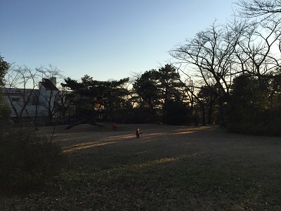 a0134004_2192032.jpg