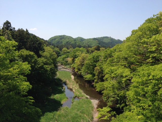 c0064706_1231412.jpg