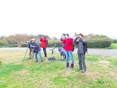 すみれば研修レポート(葛西臨海公園・鳥類園)_b0049307_13254725.jpg