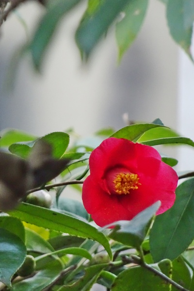 d0025414_025826.jpg