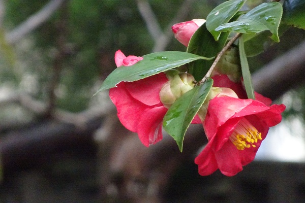d0025414_026240.jpg