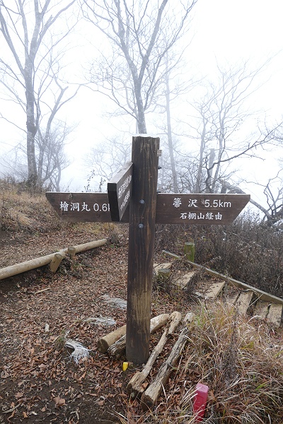 久々に山の怖さを知った檜洞丸・犬越路ルート　その８_c0196928_14411530.jpg