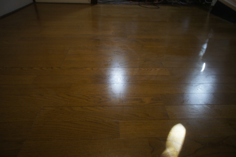 a0217029_1454476.jpg