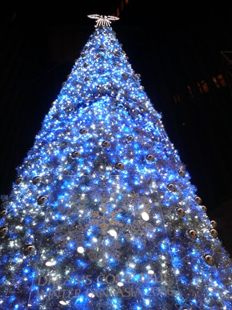 ひと休み・・・X\'mas_d0353129_03153959.jpg