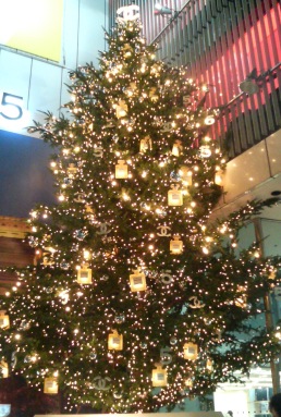 ひと休み・・・X\'mas_d0353129_03154099.jpg