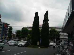 d0353129_03163523.jpg