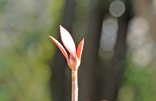 f0206939_12121110.jpg