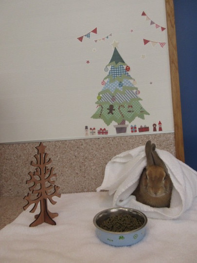 少し早いMerry Xmas☆彡_e0339146_12064658.jpg