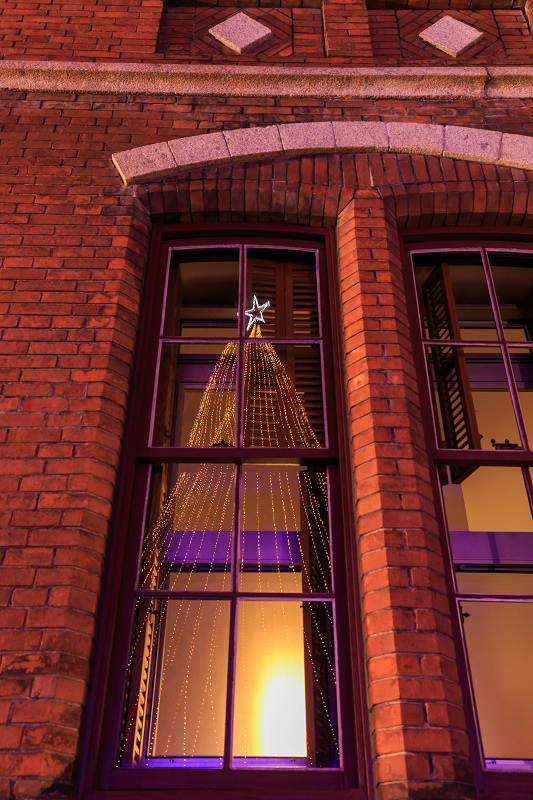同志社大学のクリスマスツリーと重要文化財ライトアップ_f0155048_19332732.jpg