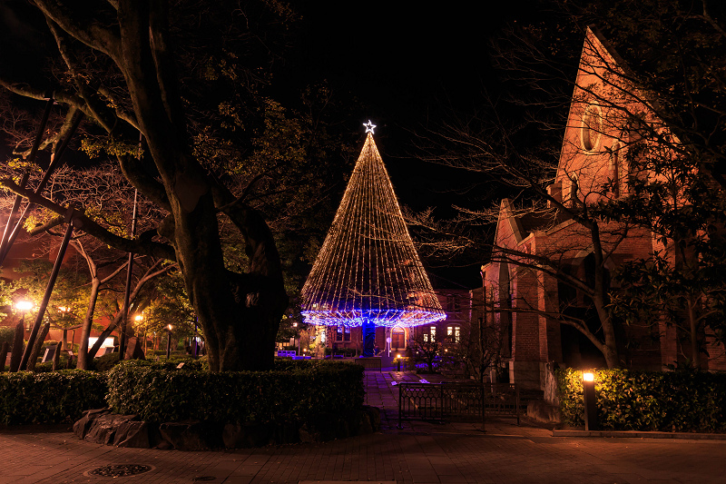 同志社大学のクリスマスツリーと重要文化財ライトアップ_f0155048_19342768.jpg
