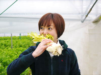 熊本セロリ「清正人参」 朝採り新鮮そのものをお届けします!!_a0254656_20262183.jpg