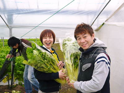熊本セロリ「清正人参」 朝採り新鮮そのものをお届けします!!_a0254656_20295644.jpg