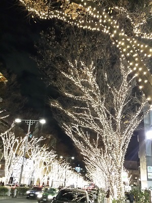 恒例のXmasの表参道_b0330859_21343779.jpg