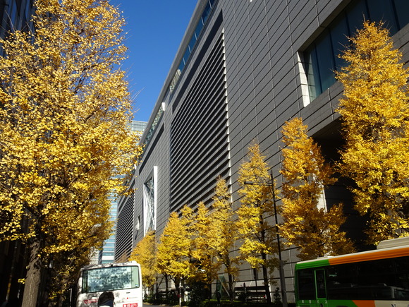 d0193569_1658415.jpg