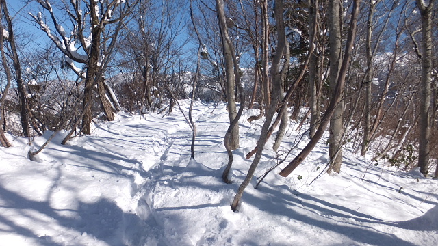 雪の西山をハイキング_c0022275_1834049.jpg