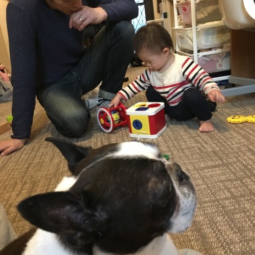 d0041575_23095783.jpeg