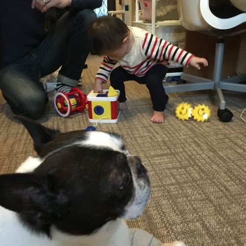 d0041575_23110828.jpeg