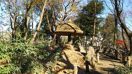 e0020682_16372985.jpg