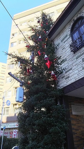 e0020682_1655773.jpg