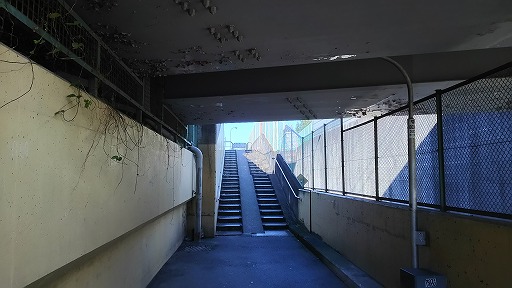e0020682_17155677.jpg
