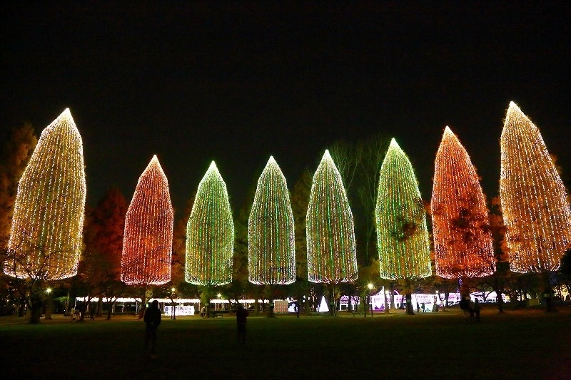 元淵江公園に聳える高さ２０ｍの自然木による８本のクリスマスツリーは、素朴で幻想的な夜を演出します。_b0291402_08381078.jpg