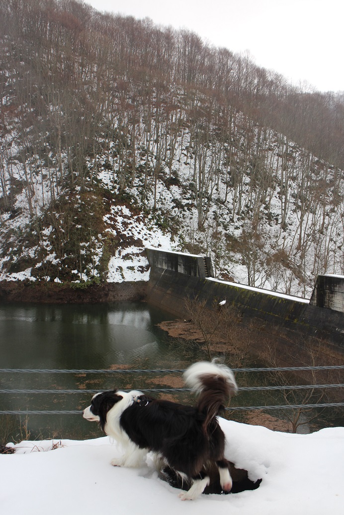 f0034602_912014.jpg