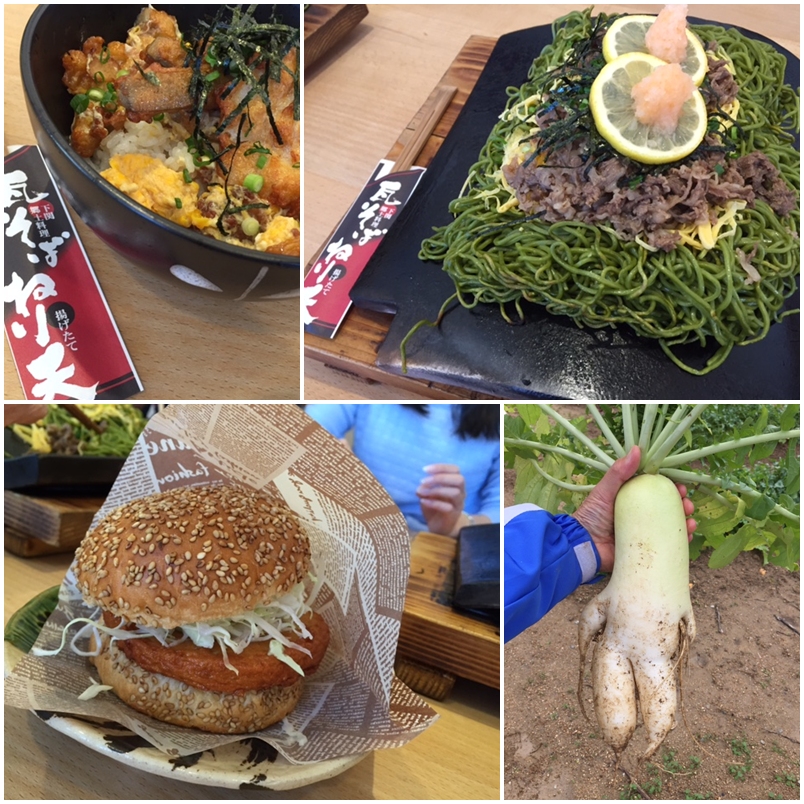 瓦そばと大根足_a0326106_11182433.jpg