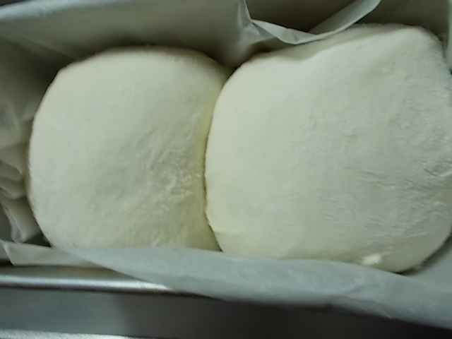 f0316507_16143774.jpg