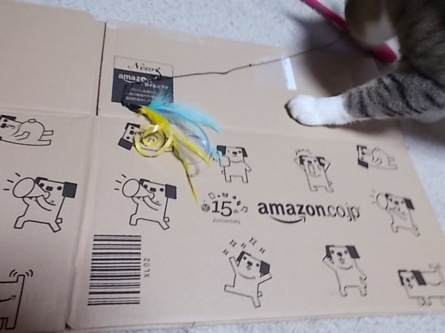 f0316507_18175075.jpg